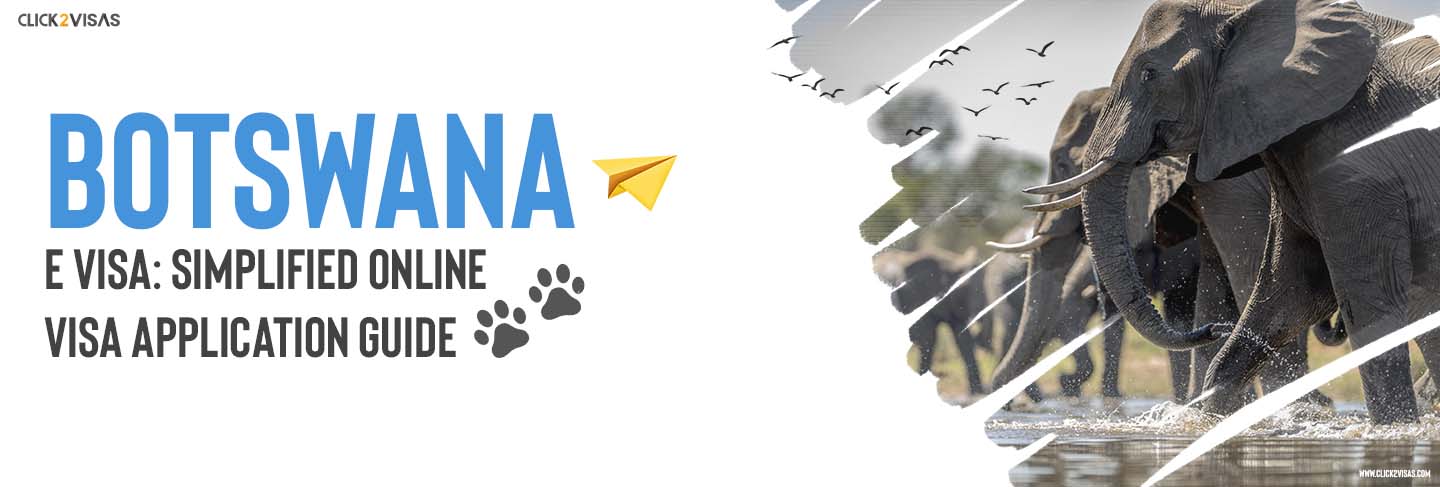 Botswana e Visa Simplified Online Visa Application Guide