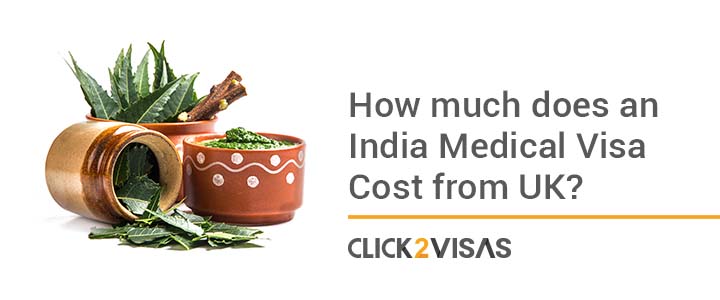 How much does an India Medical Visa Cost from UK?