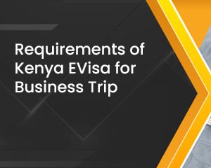 Requirements of Kenya EVisa for Business Trip
